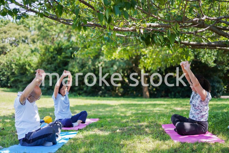 野外でヨガをする高齢者