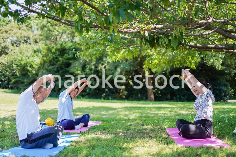 野外でヨガをする高齢者