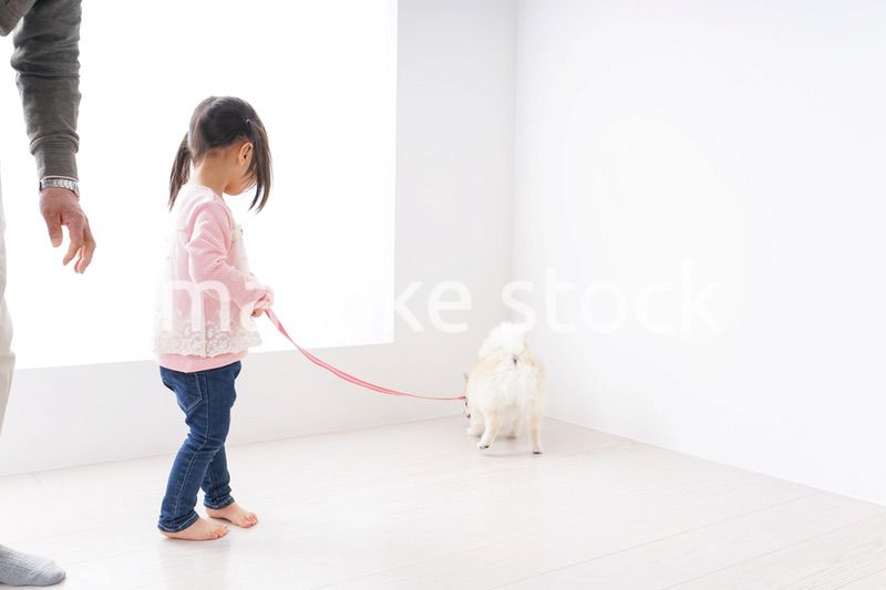 犬のお世話をする子ども
