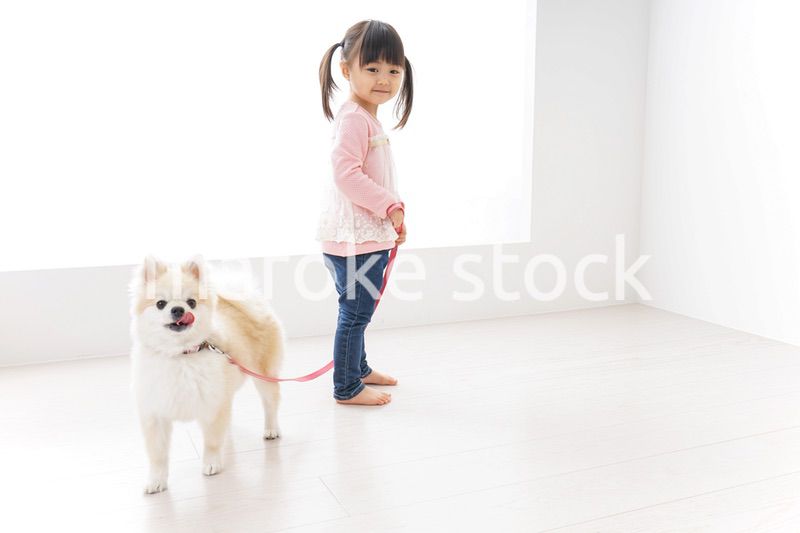 犬の散歩をする子ども