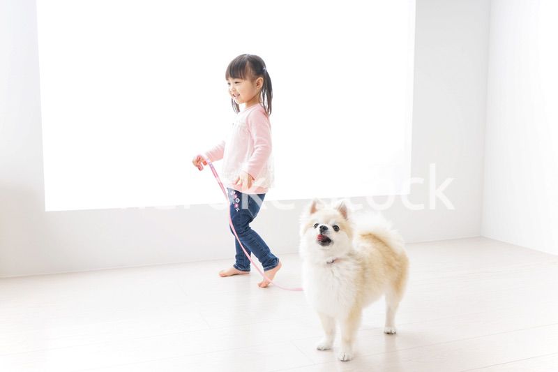犬の散歩をする子ども