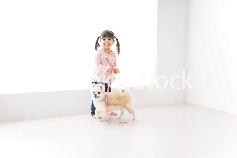 犬の散歩をする子ども