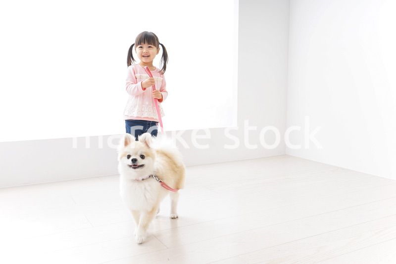 犬の散歩をする子ども