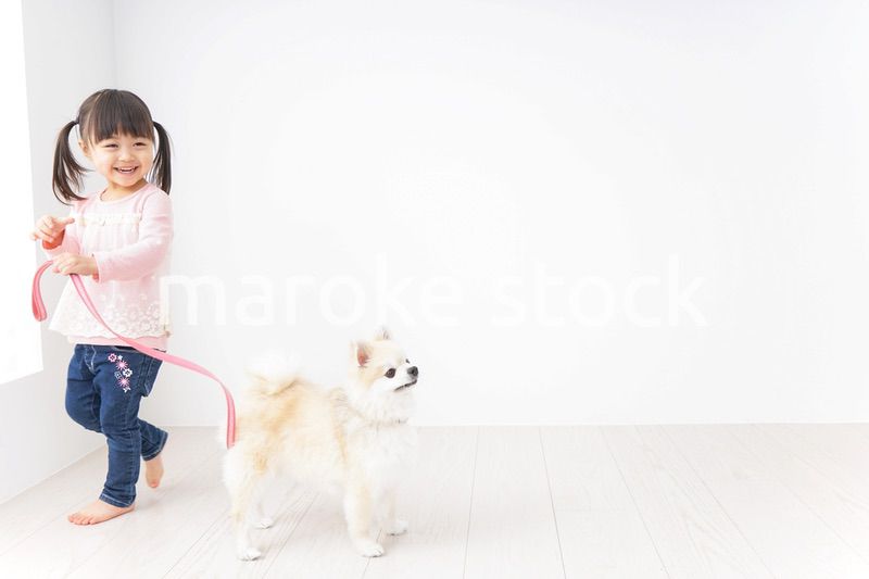 犬の散歩をする子ども