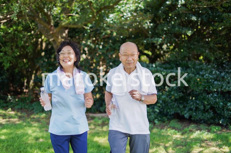 野外でランニングをする高齢の夫婦