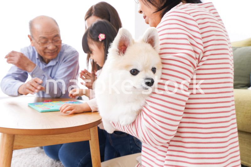 幸せな家族の集合写真