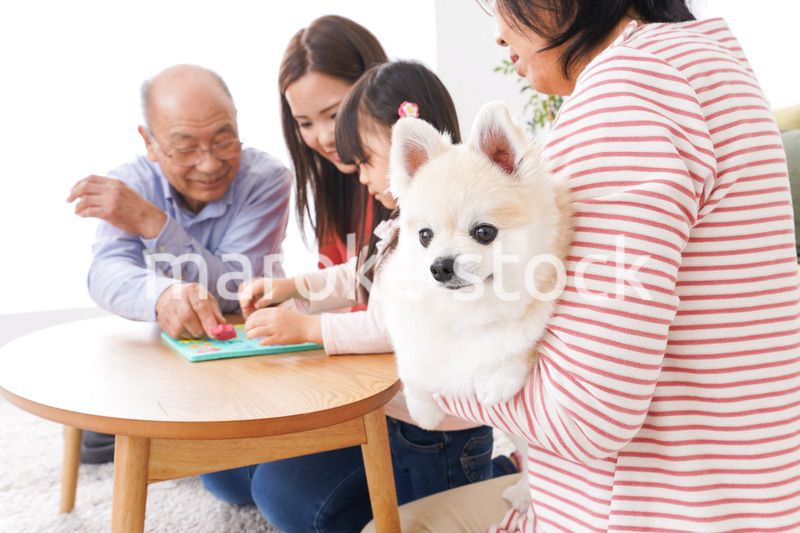 幸せな家族の集合写真