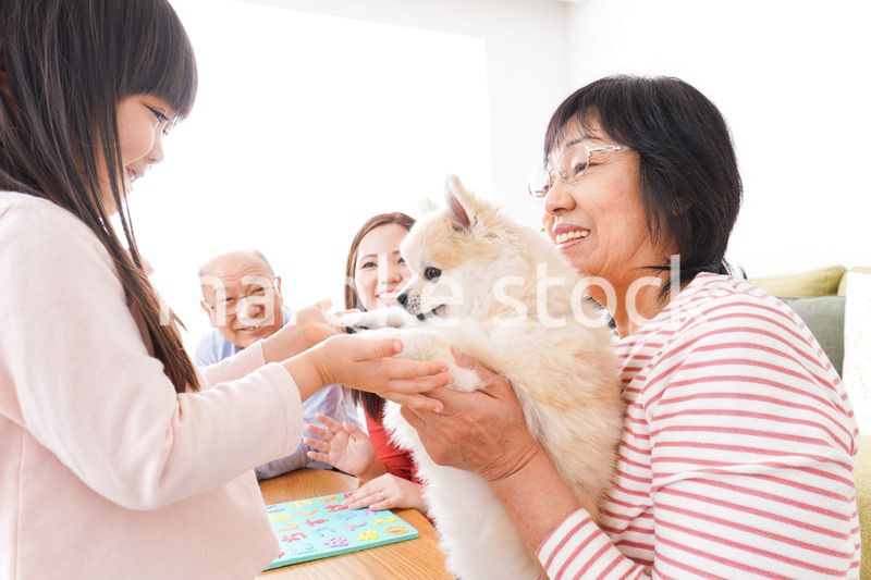 幸せな家族の集合写真