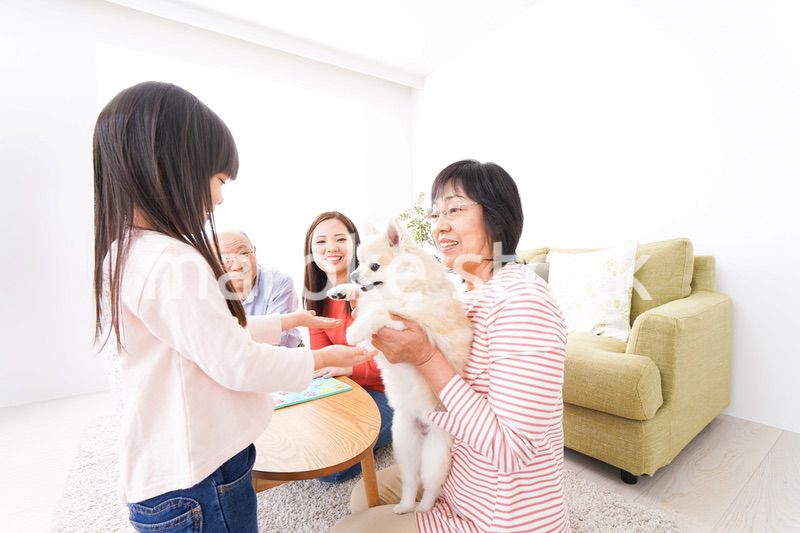 幸せな家族の集合写真