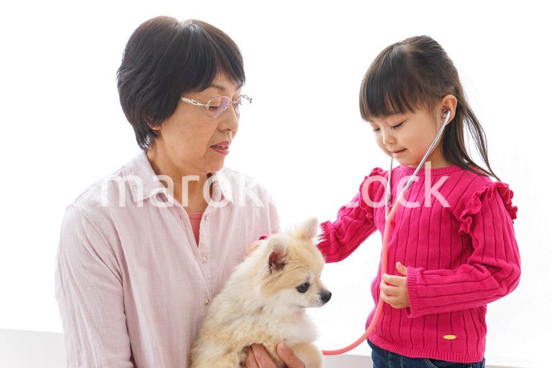 おばあちゃんと孫娘