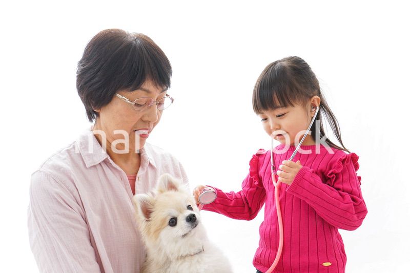 おばあちゃんと孫娘