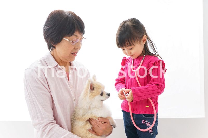 おばあちゃんと孫娘