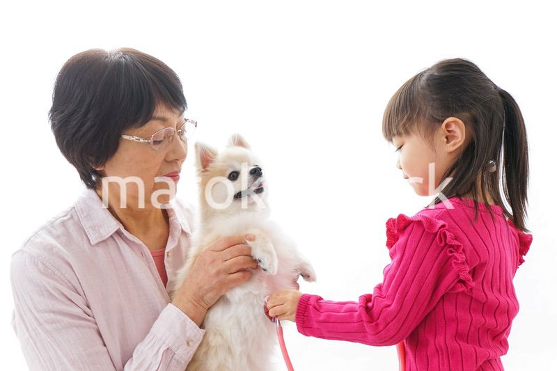 おばあちゃんと孫娘