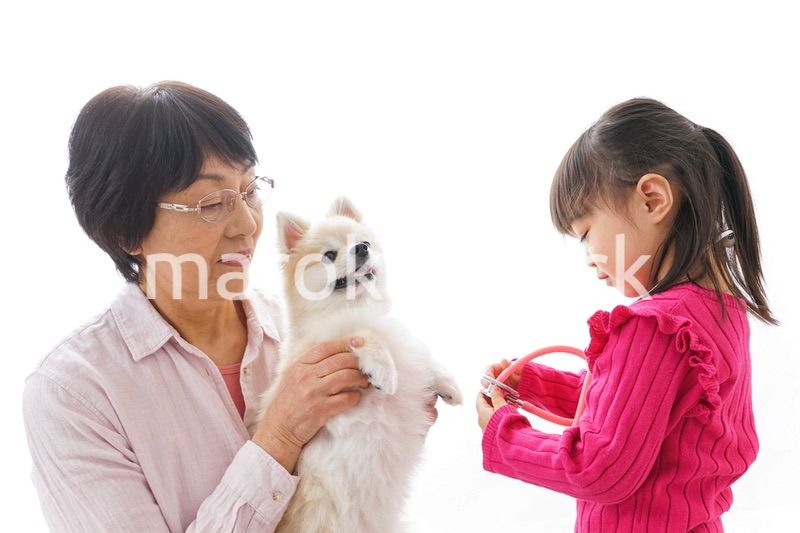 おばあちゃんと孫娘