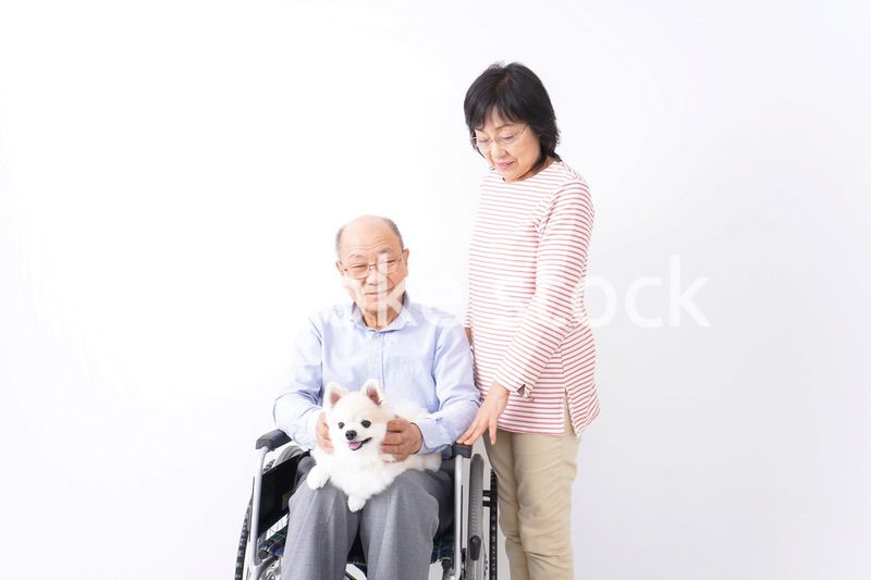 犬を飼う高齢の夫婦