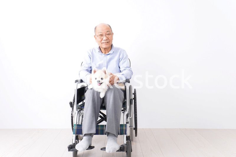 犬を飼う車椅子に乗った高齢の男性