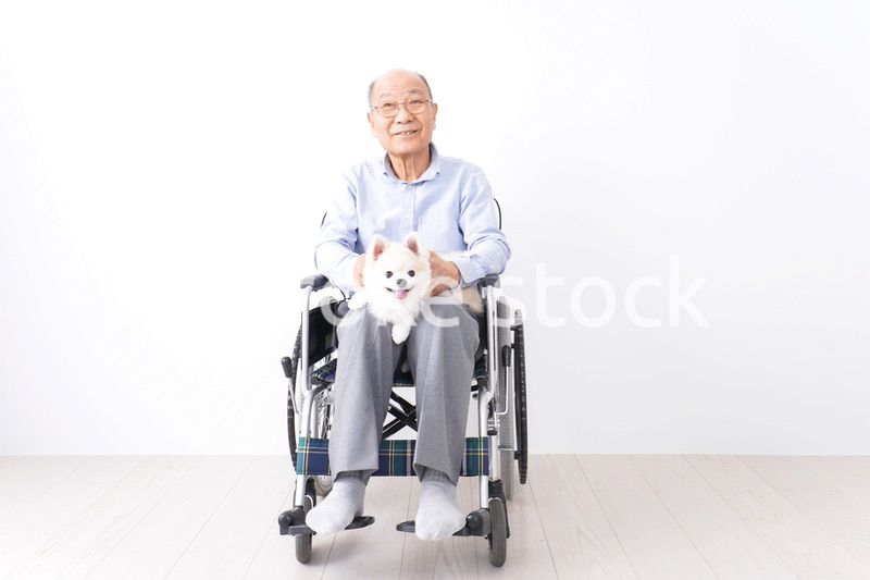 犬を飼う車椅子に乗った高齢の男性