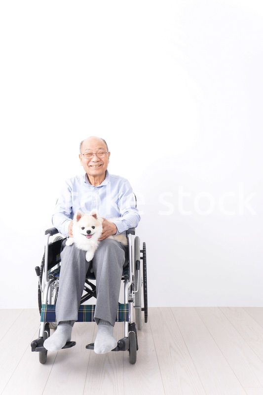 犬を飼う車椅子に乗った高齢の男性
