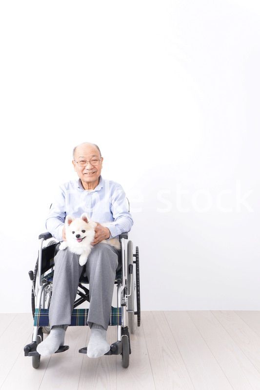 犬を飼う車椅子に乗った高齢の男性