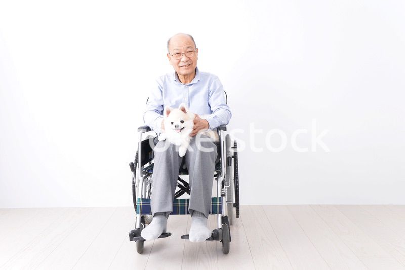 犬を飼う車椅子に乗った高齢の男性