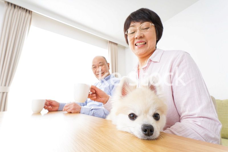 家でリラックスをするシニア夫婦