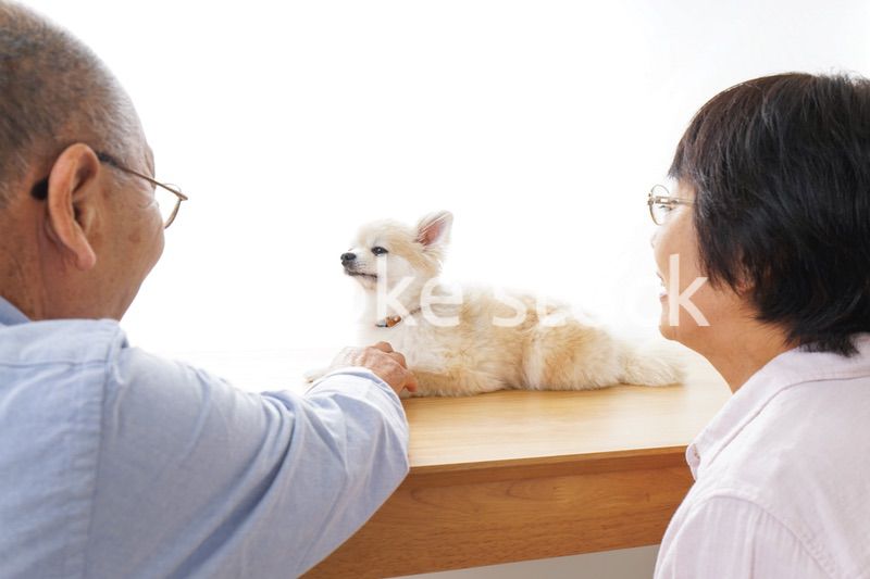 ペットショップで犬を見るシニア夫婦