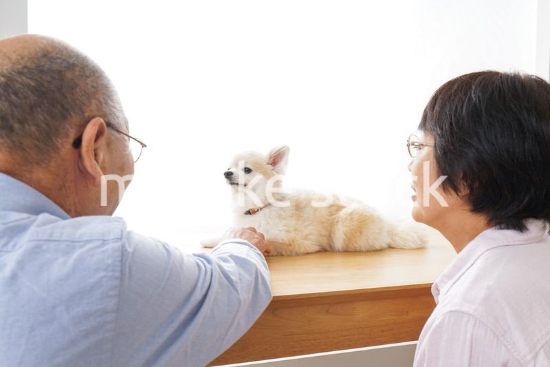 ペットショップで犬を見るシニア夫婦