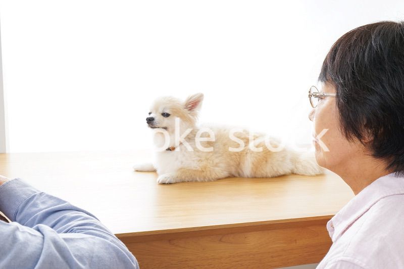 ペットショップで犬を見るシニア夫婦