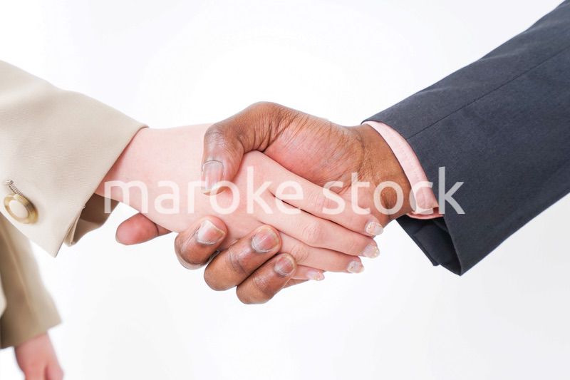 握手するビジネスパーソン
