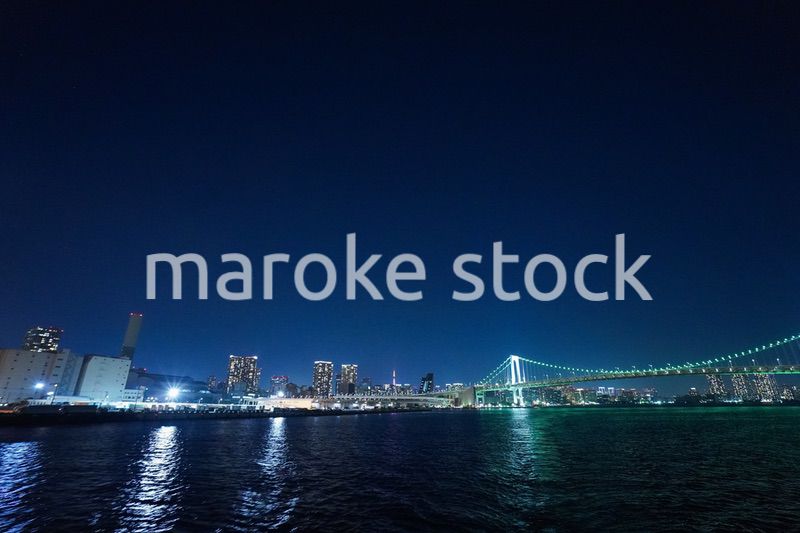 東京夜景・クルーズ