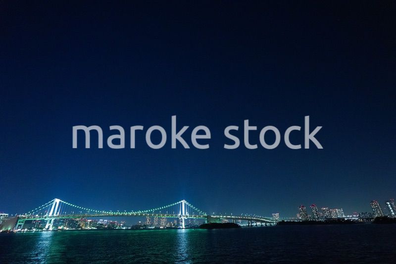 東京夜景・クルーズ