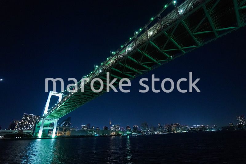 東京夜景・クルーズ