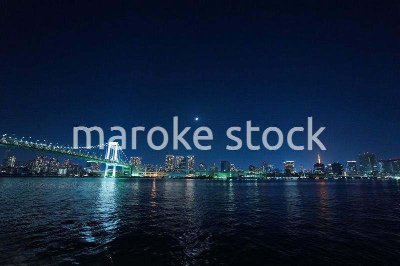 東京夜景・クルーズ