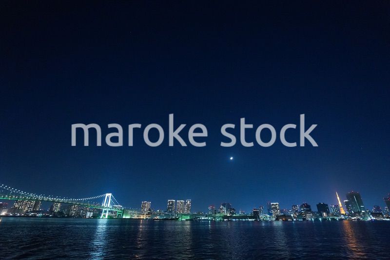 東京夜景・クルーズ