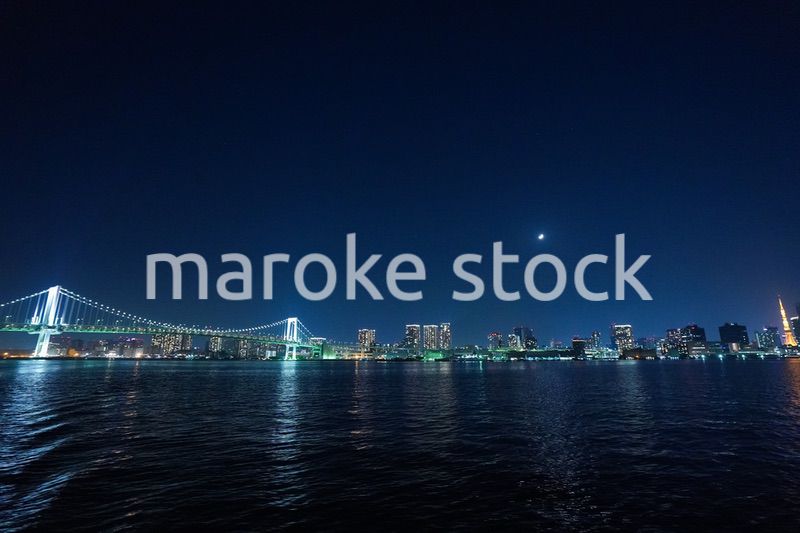 東京夜景・クルーズ