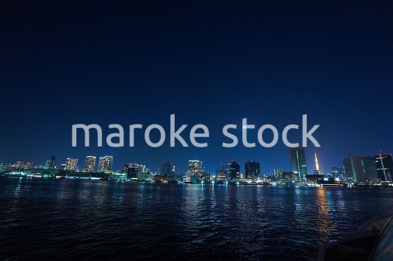 東京夜景・クルーズ