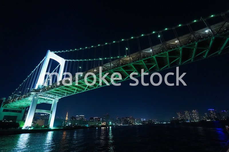 東京夜景・クルーズ