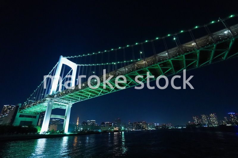 東京夜景・クルーズ