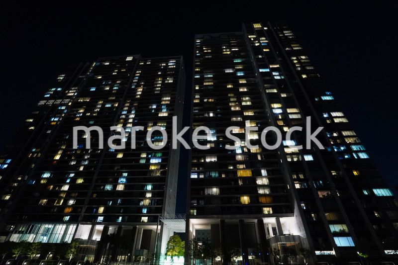 東京夜景・クルーズ