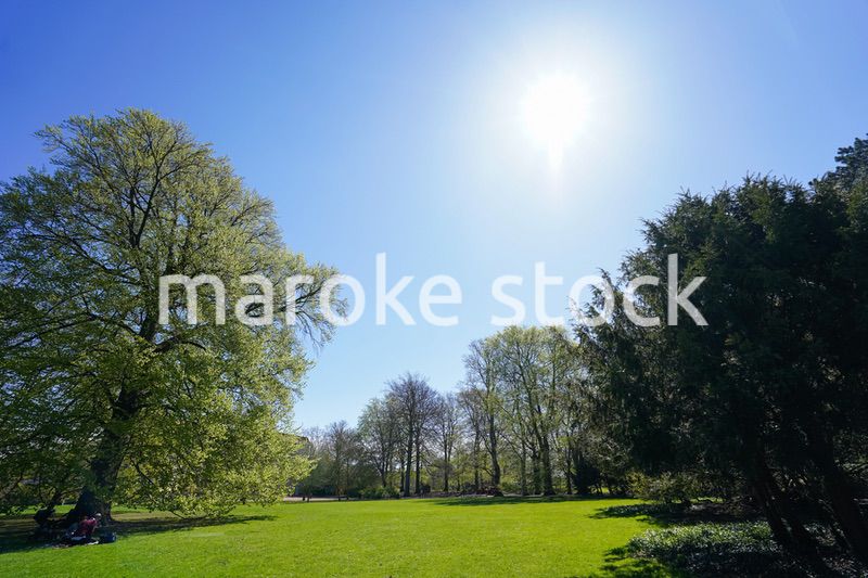 緑いっぱいの公園