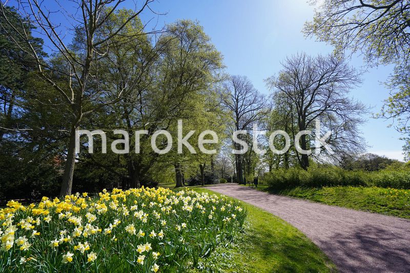 緑いっぱいの公園