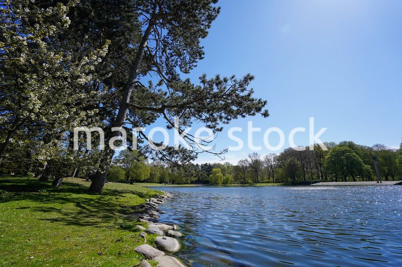 緑いっぱいの公園