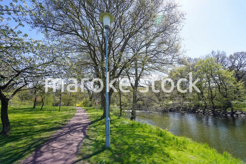 緑いっぱいの公園