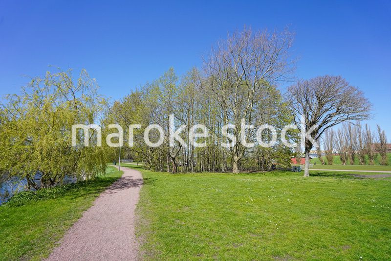 緑いっぱいの公園