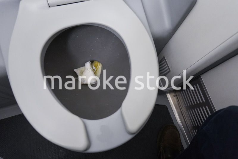 飛行機の中のトイレ