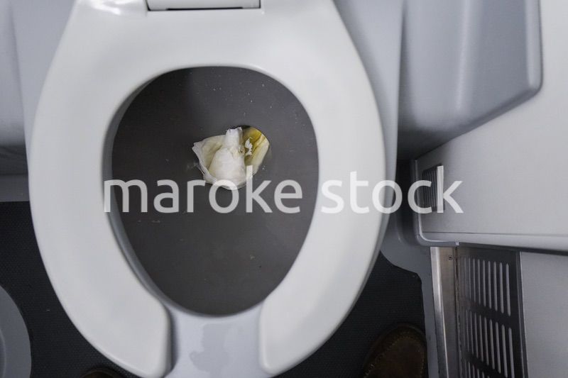 飛行機の中のトイレ