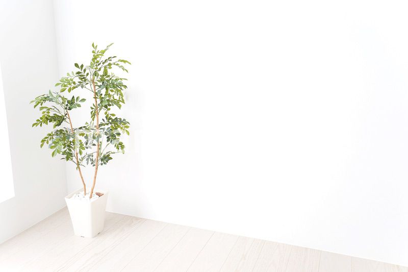 モダンなインテリアの部屋