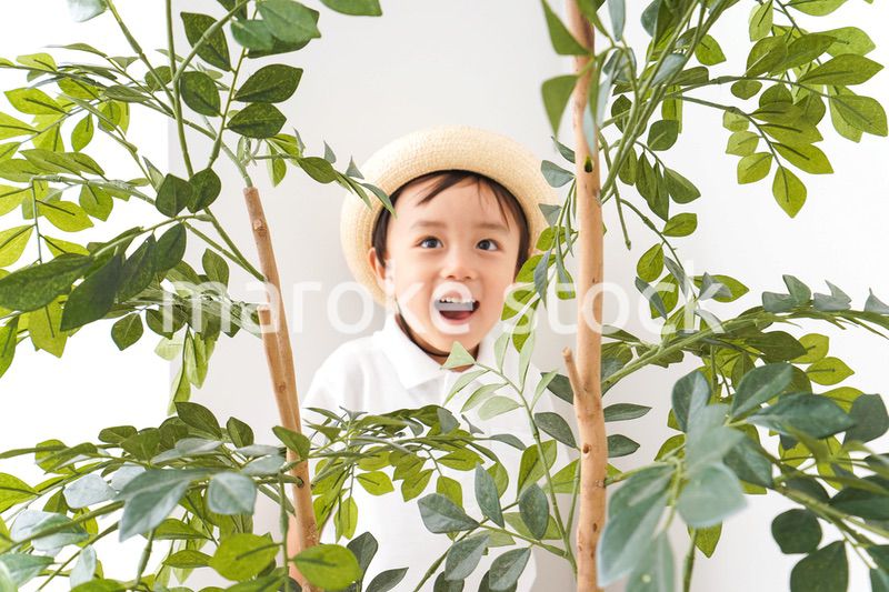 やんちゃな幼稚園児