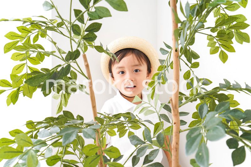 やんちゃな幼稚園児