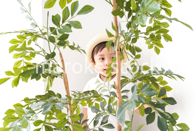 やんちゃな幼稚園児